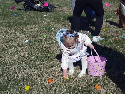 Egg Hunt