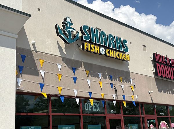 sharks-fish-chicken-moraine