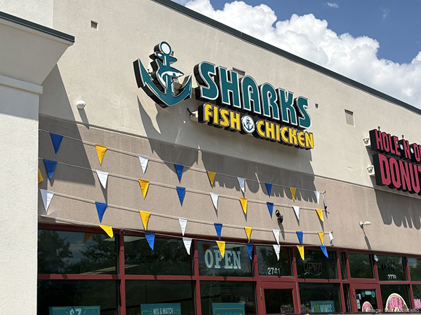 sharks-fish-chicken-moraine