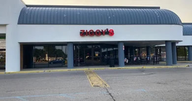 ziggys